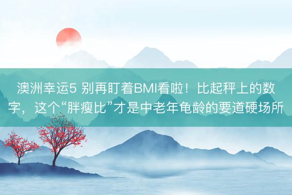 澳洲幸运5 别再盯着BMI看啦！比起秤上的数字，这个“胖瘦比”才是中老年龟龄的要道硬场所