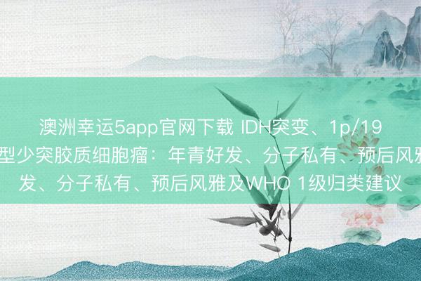 澳洲幸运5app官网下载 IDH突变、1p/19q共缺失且TERTp野生型少突胶质细胞瘤:年青好发、分子私有、预后风雅及WHO 1级归类建议
