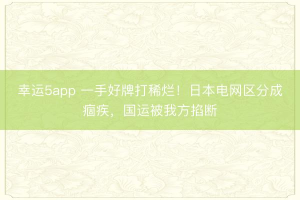 幸运5app 一手好牌打稀烂!日本电网区分成痼疾,国运被我方掐断