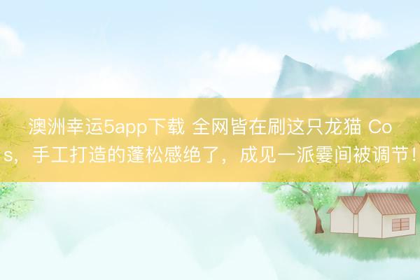澳洲幸运5app下载 全网皆在刷这只龙猫 Cos,手工打造的蓬松感绝了,成见一派霎间被调节!