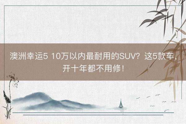 澳洲幸运5 10万以内最耐用的SUV？这5款车，开十年都不用修！