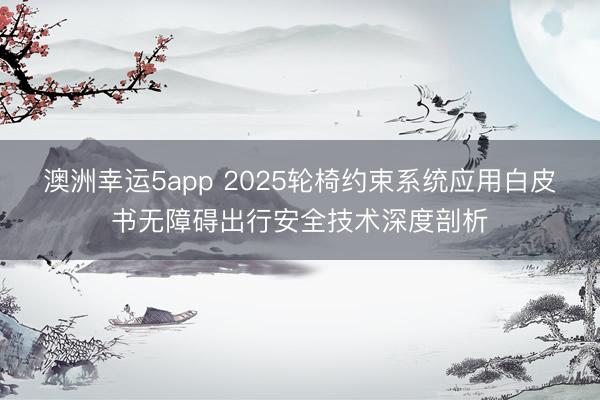 澳洲幸运5app 2025轮椅约束系统应用白皮书无障碍出行安全技术深度剖析