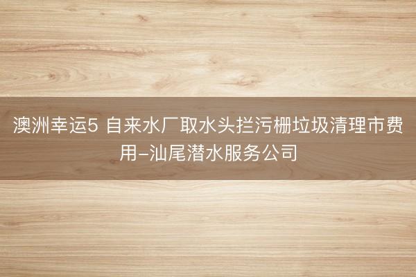 澳洲幸运5 自来水厂取水头拦污栅垃圾清理市费用-汕尾潜水服务公司
