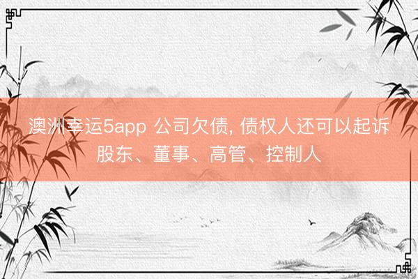 澳洲幸运5app 公司欠债， 债权人还可以起诉股东、董事、高管、控制人