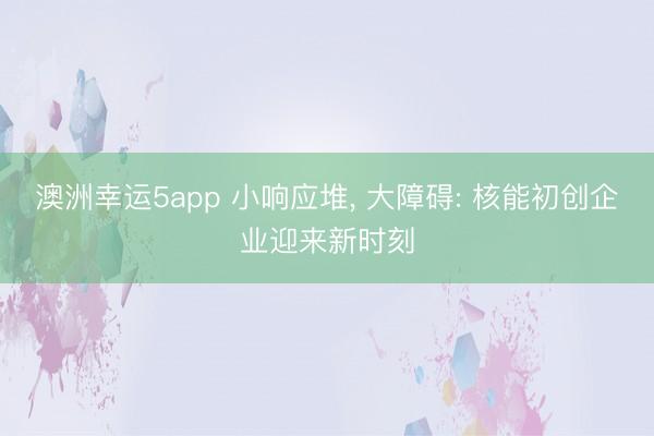 澳洲幸运5app 小响应堆， 大障碍: 核能初创企业迎来新时刻