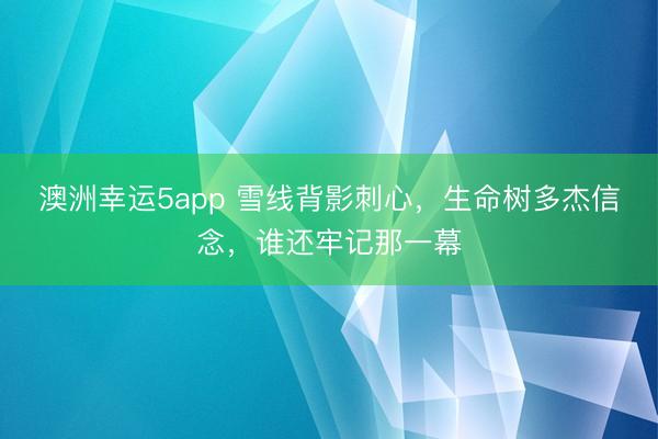 澳洲幸运5app 雪线背影刺心，生命树多杰信念，谁还牢记那一幕