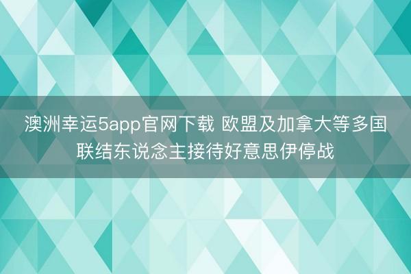 澳洲幸运5app官网下载 欧盟及加拿大等多国联结东说念主接待好意思伊停战