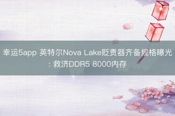 幸运5app 英特尔Nova Lake贬责器齐备规格曝光: 救济DDR5 8000内存