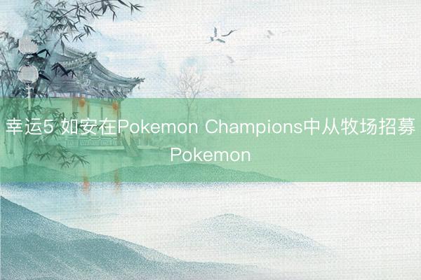 幸运5 如安在Pokemon Champions中从牧场招募Pokemon