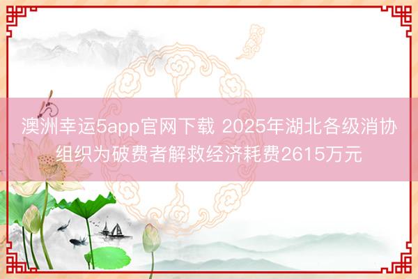 澳洲幸运5app官网下载 2025年湖北各级消协组织为破费者解救经济耗费2615万元