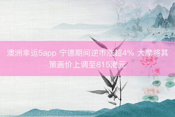 澳洲幸运5app 宁德期间逆市涨超4% 大摩将其策画价上调至815港元